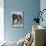 Bulldog/Rodney Stone/-null-Mounted Photographic Print displayed on a wall