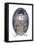 Bulldog Sailor with Tattoo-Olga Angellos-Framed Stretched Canvas