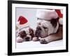 Bulldog Santas-Larry Williams-Framed Photographic Print