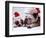 Bulldog Santas-Larry Williams-Framed Photographic Print