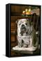 Bulldog Sitting on Chair-null-Framed Stretched Canvas