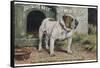 Bulldog Stands Outside His Kennel in an Advertisement for "City Meat" Dog Biscuits-null-Framed Stretched Canvas