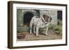 Bulldog Stands Outside His Kennel in an Advertisement for "City Meat" Dog Biscuits-null-Framed Photographic Print