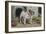 Bulldog Stands Outside His Kennel in an Advertisement for "City Meat" Dog Biscuits-null-Framed Photographic Print