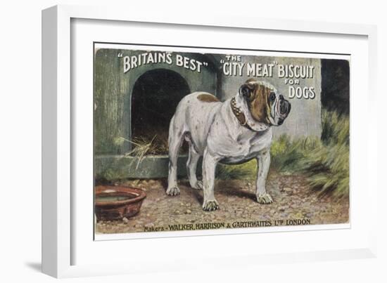 Bulldog Stands Outside His Kennel in an Advertisement for "City Meat" Dog Biscuits-null-Framed Photographic Print