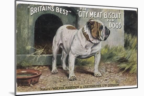 Bulldog Stands Outside His Kennel in an Advertisement for "City Meat" Dog Biscuits-null-Mounted Photographic Print