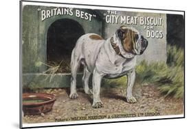 Bulldog Stands Outside His Kennel in an Advertisement for "City Meat" Dog Biscuits-null-Mounted Photographic Print