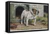 Bulldog Stands Outside His Kennel in an Advertisement for "City Meat" Dog Biscuits-null-Framed Stretched Canvas