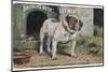 Bulldog Stands Outside His Kennel in an Advertisement for "City Meat" Dog Biscuits-null-Mounted Photographic Print