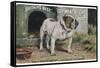 Bulldog Stands Outside His Kennel in an Advertisement for "City Meat" Dog Biscuits-null-Framed Stretched Canvas