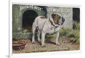 Bulldog Stands Outside His Kennel in an Advertisement for "City Meat" Dog Biscuits-null-Framed Photographic Print