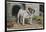 Bulldog Stands Outside His Kennel in an Advertisement for "City Meat" Dog Biscuits-null-Framed Photographic Print