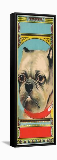 Bulldog Tobacco Label-Lantern Press-Framed Stretched Canvas