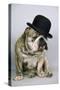 Bulldog Wearing Bowler Hat-null-Stretched Canvas