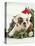 Bulldog Wearing Santa Claus Hat-Larry Williams-Stretched Canvas