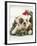 Bulldog Wearing Santa Claus Hat-Larry Williams-Framed Photographic Print