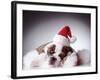 Bulldog Wearing Santa Hat-Larry Williams-Framed Photographic Print