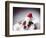 Bulldog Wearing Santa Hat-Larry Williams-Framed Photographic Print