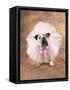 Bulldog Wearing Tutu-Peter M. Fisher-Framed Stretched Canvas