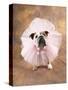 Bulldog Wearing Tutu-Peter M. Fisher-Stretched Canvas