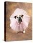 Bulldog Wearing Tutu-Peter M. Fisher-Stretched Canvas