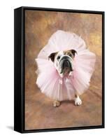 Bulldog Wearing Tutu-Peter M. Fisher-Framed Stretched Canvas