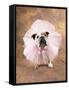 Bulldog Wearing Tutu-Peter M. Fisher-Framed Stretched Canvas