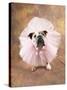 Bulldog Wearing Tutu-Peter M. Fisher-Stretched Canvas