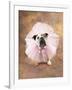 Bulldog Wearing Tutu-Peter M. Fisher-Framed Photographic Print