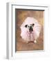 Bulldog Wearing Tutu-Peter M. Fisher-Framed Photographic Print