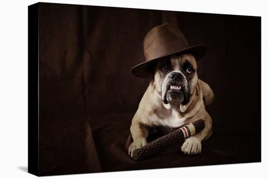 Bulldog With Hat And Cigar-feeferlump-Stretched Canvas