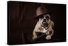 Bulldog With Hat And Cigar-feeferlump-Stretched Canvas