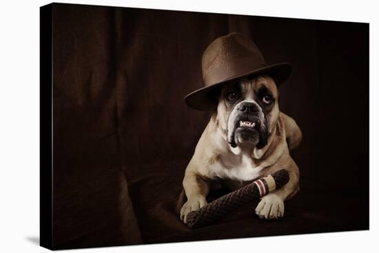 Bulldog With Hat And Cigar-feeferlump-Stretched Canvas