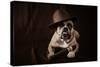 Bulldog With Hat And Cigar-feeferlump-Stretched Canvas
