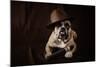 Bulldog With Hat And Cigar-feeferlump-Mounted Photographic Print