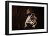 Bulldog With Hat And Cigar-feeferlump-Framed Photographic Print