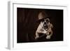 Bulldog With Hat And Cigar-feeferlump-Framed Photographic Print