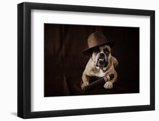 Bulldog With Hat And Cigar-feeferlump-Framed Photographic Print