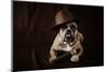 Bulldog With Hat And Cigar-feeferlump-Mounted Photographic Print