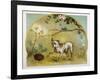 Bulldog with Hedgehog-R. Andre-Framed Art Print