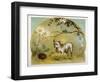 Bulldog with Hedgehog-R. Andre-Framed Art Print