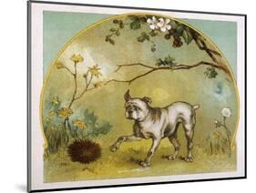 Bulldog with Hedgehog-R. Andre-Mounted Art Print