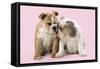 Bulldog X2 Puppies-null-Framed Stretched Canvas