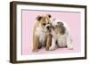 Bulldog X2 Puppies-null-Framed Photographic Print