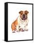 Bulldog-Wendy Edelson-Framed Stretched Canvas