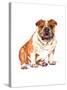 Bulldog-Wendy Edelson-Stretched Canvas