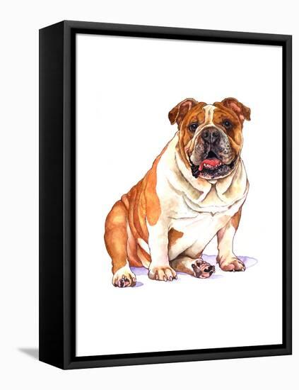 Bulldog-Wendy Edelson-Framed Stretched Canvas