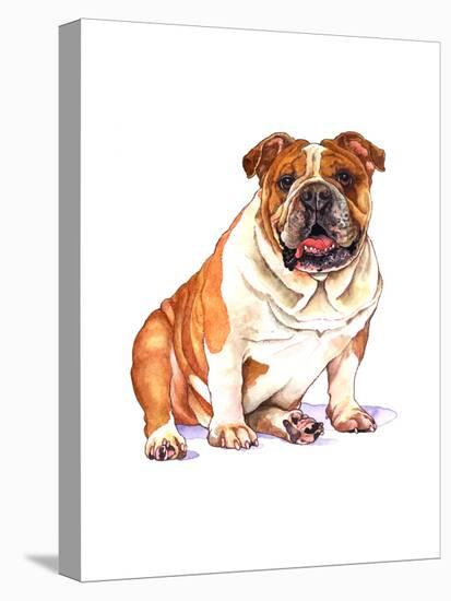 Bulldog-Wendy Edelson-Stretched Canvas