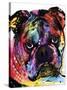 Bulldog-Dean Russo-Stretched Canvas