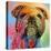 Bulldog-Mark Ashkenazi-Stretched Canvas